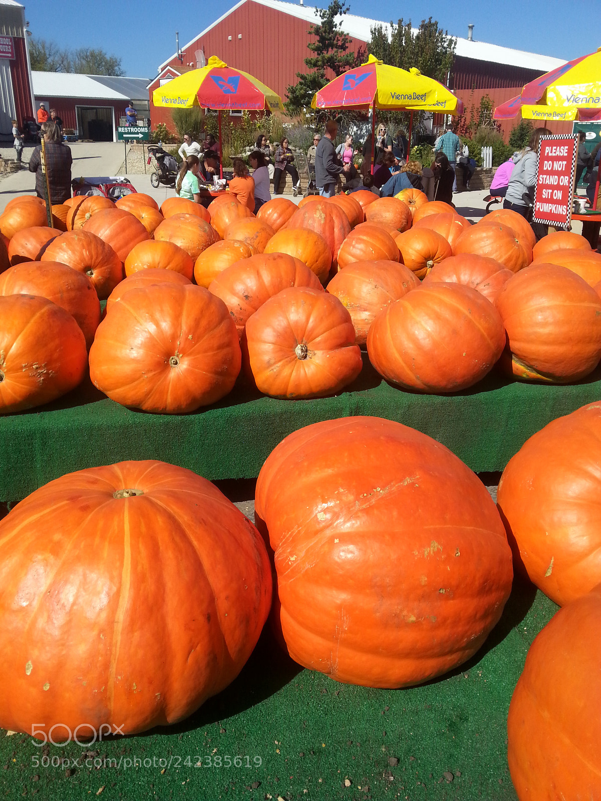 Samsung Galaxy S3 sample photo. Untitled photography