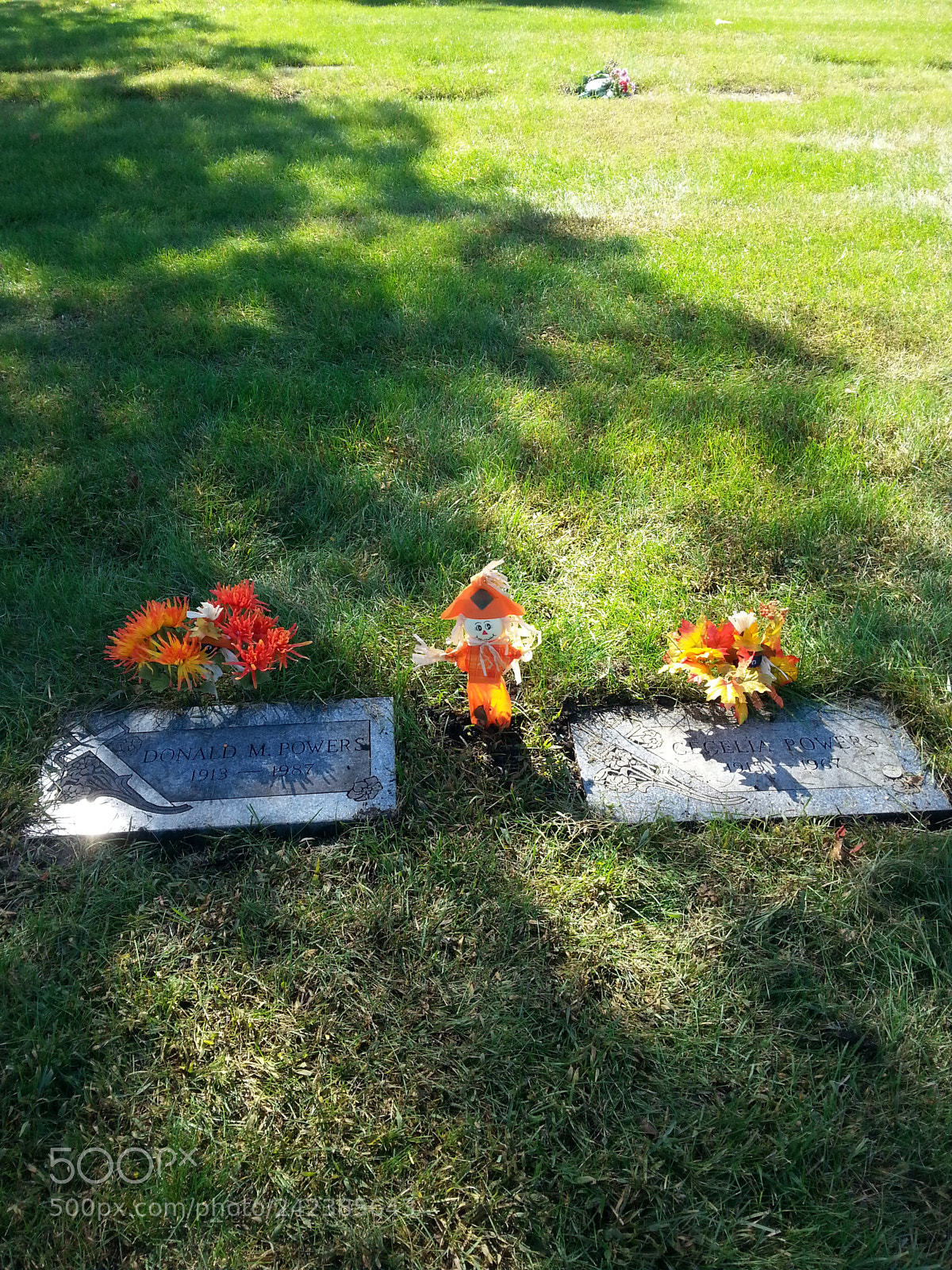Samsung Galaxy S3 sample photo. Untitled photography