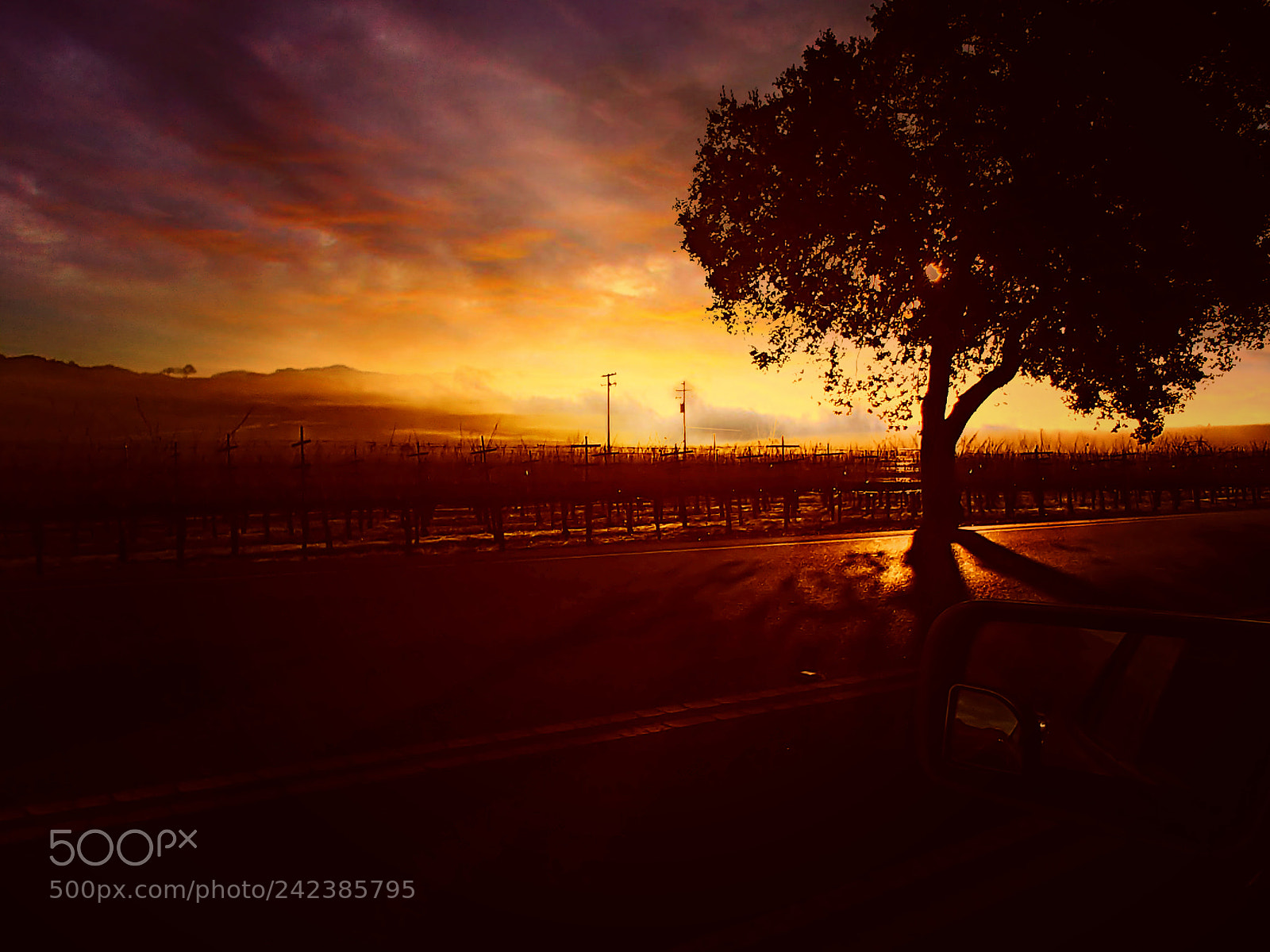 LG V30 sample photo. Sonoma sunrise photography