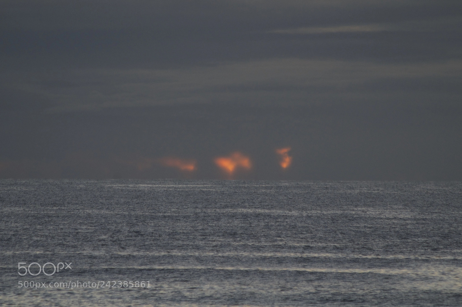 Nikon D300 sample photo. Nature's fireball. photography
