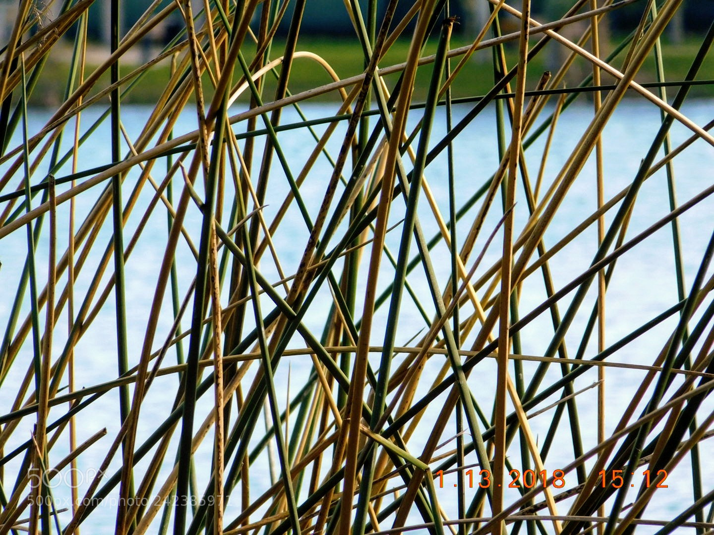 Nikon Coolpix B500 sample photo. Untitled photography