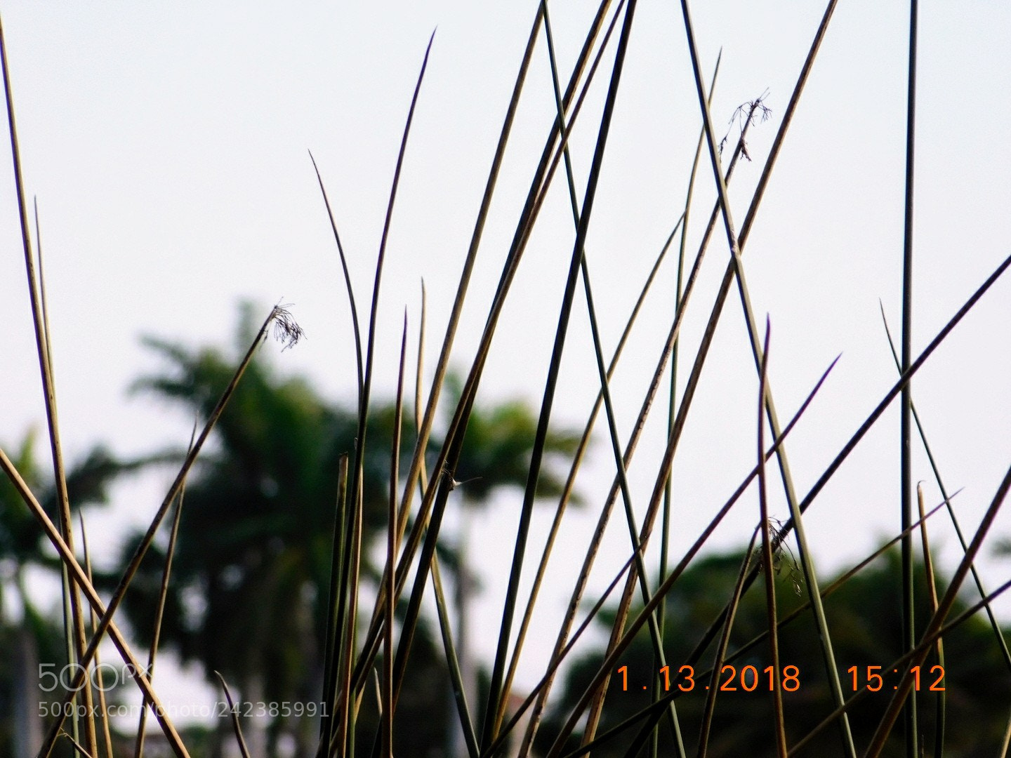Nikon Coolpix B500 sample photo. Untitled photography