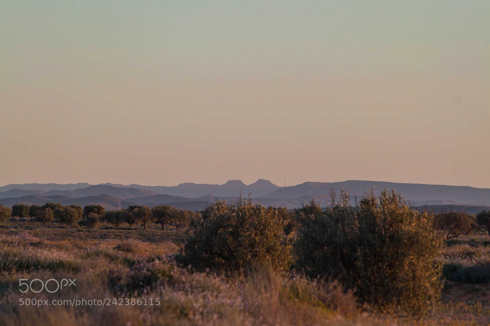 Canon EOS 500D (EOS Rebel T1i / EOS Kiss X3) sample photo. Mountains photography