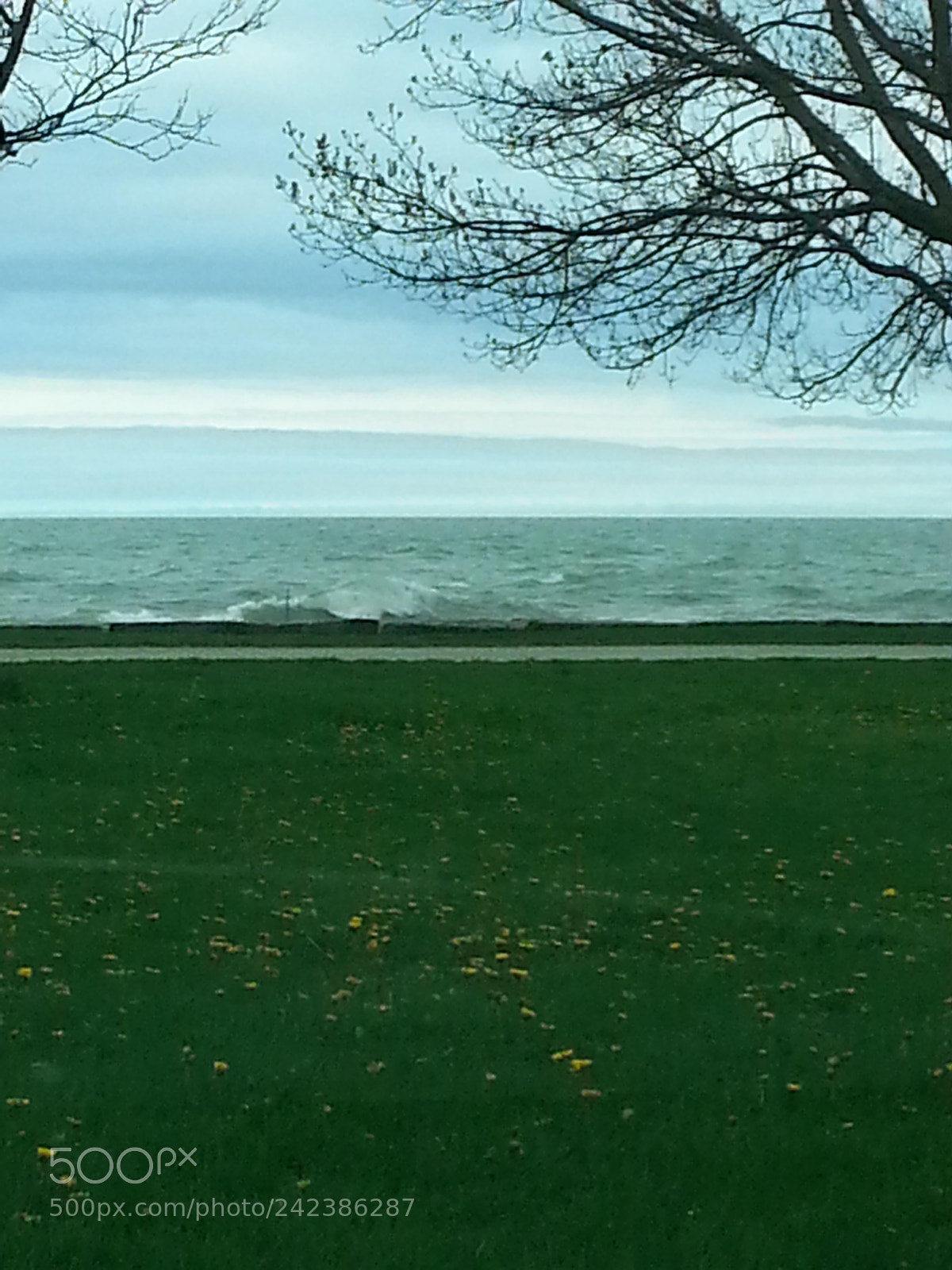 Samsung Galaxy S3 sample photo. Untitled photography