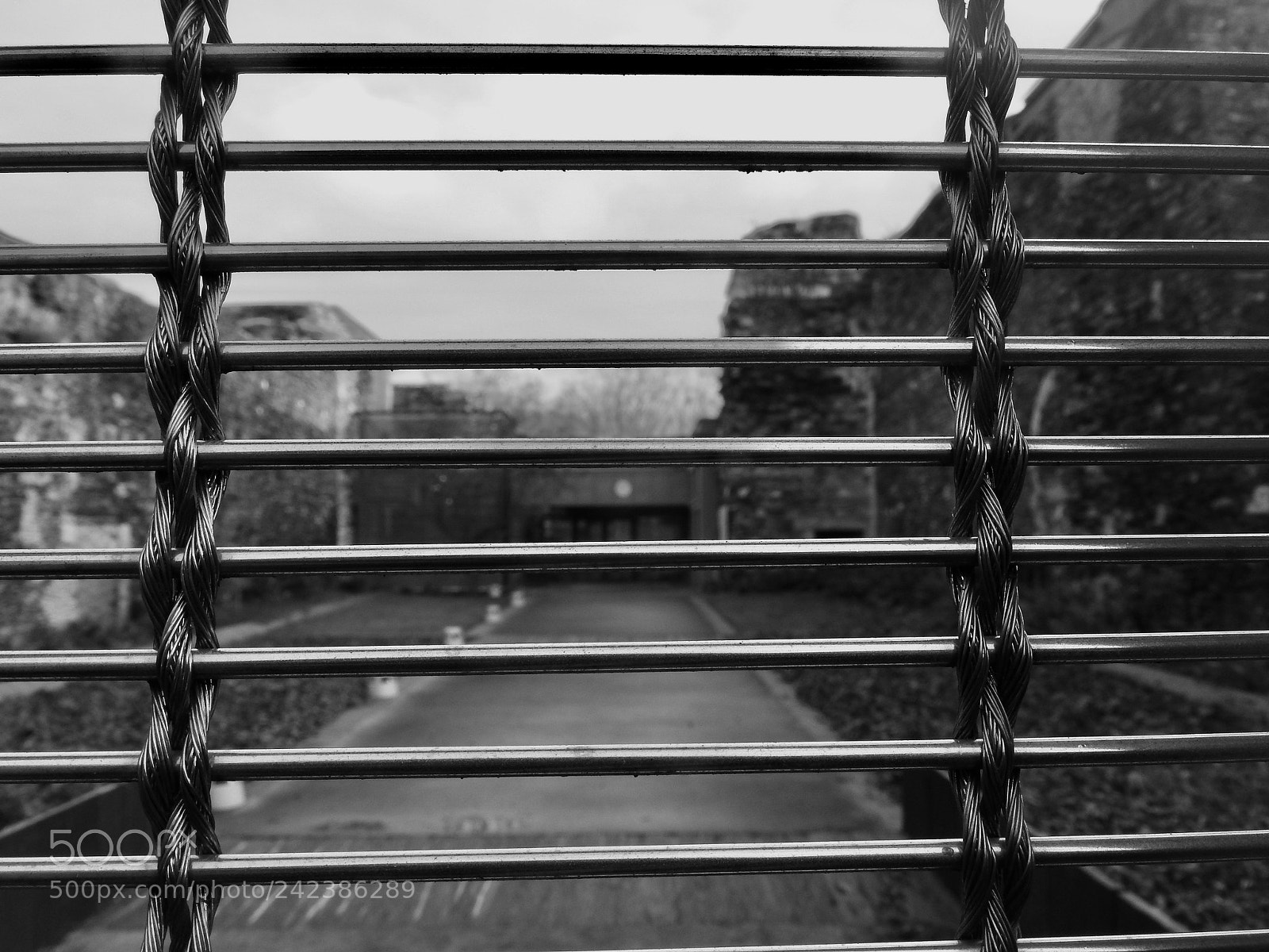 Nikon Coolpix P610 sample photo. Untitled photography