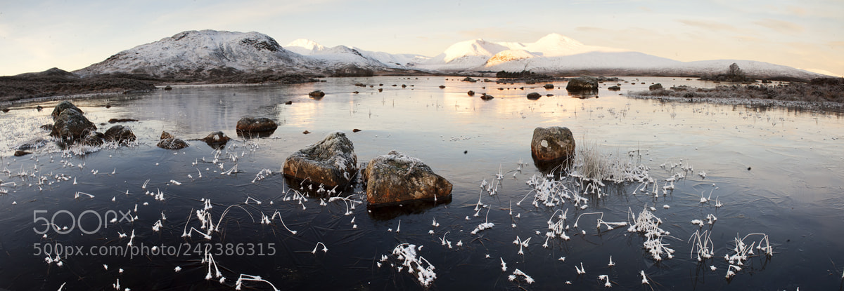 Nikon D700 sample photo. Scottish highlands, rannoch moor photography