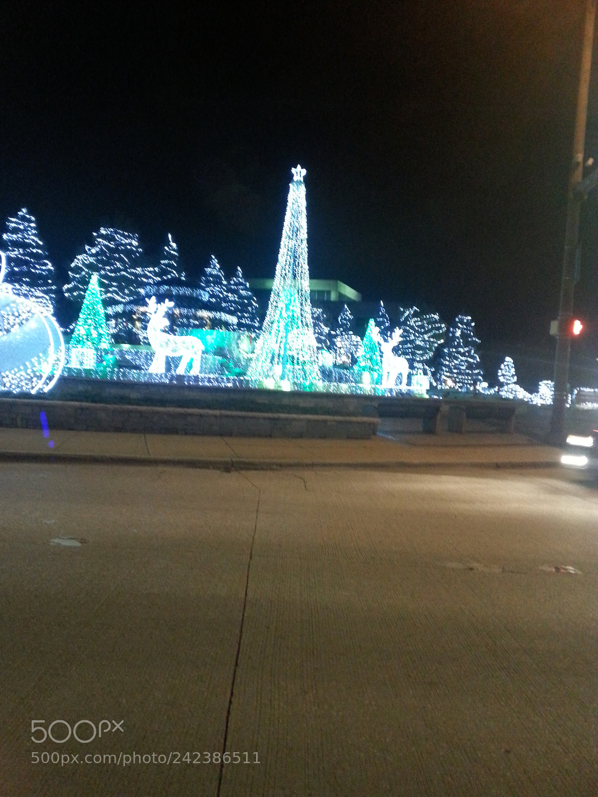 Samsung Galaxy S3 sample photo. Untitled photography
