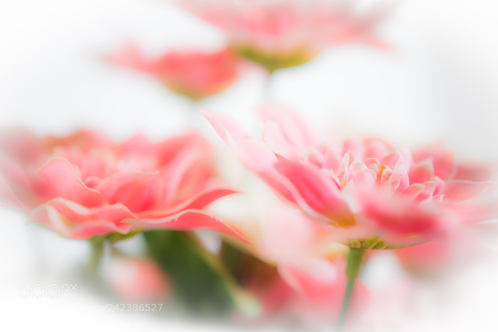 Nikon D7100 sample photo. Ethereal photography