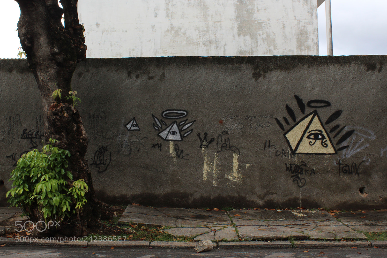Canon EOS 1300D (EOS Rebel T6 / EOS Kiss X80) sample photo. Be humble photography