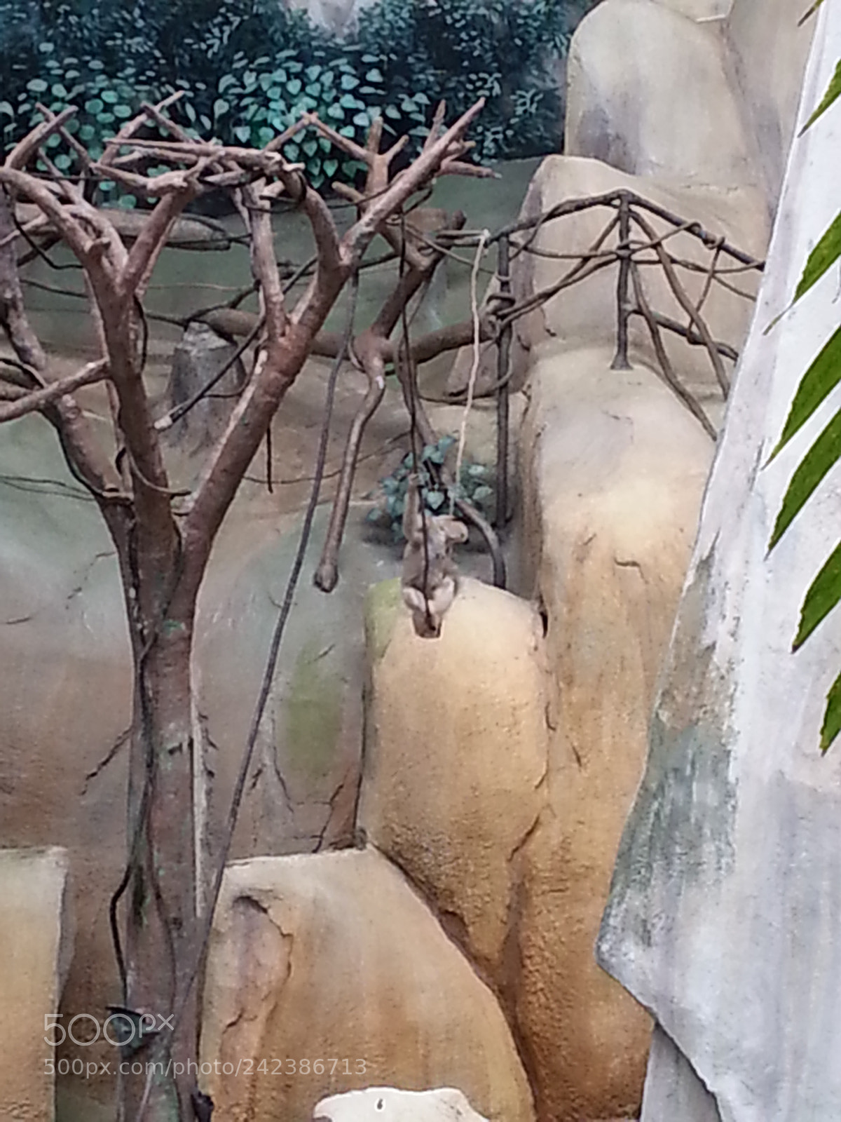 Samsung Galaxy S3 sample photo. Untitled photography