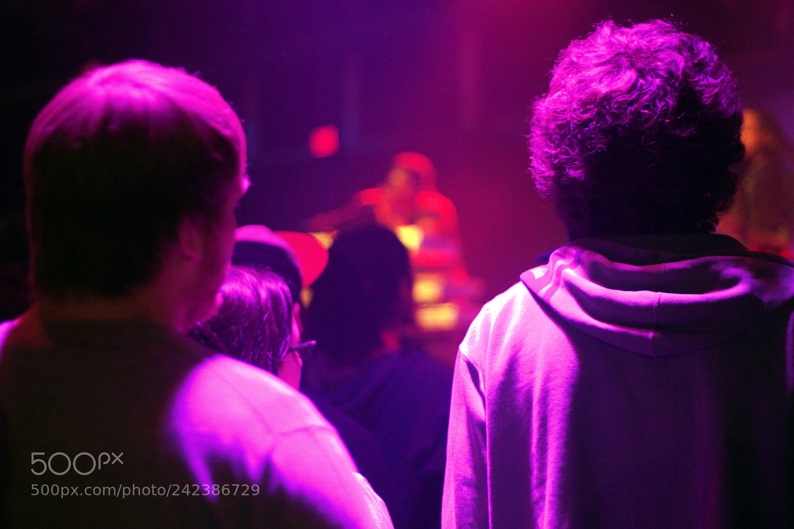 Canon EOS 550D (EOS Rebel T2i / EOS Kiss X4) sample photo. Concert goers photography