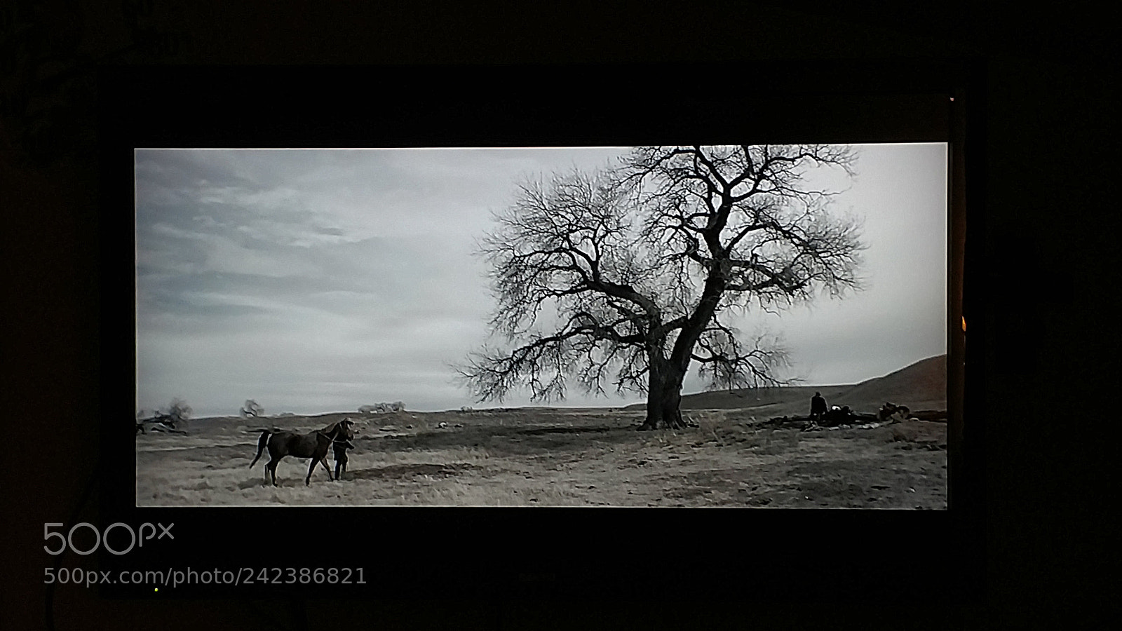 Motorola XT1650 sample photo. Peace photography