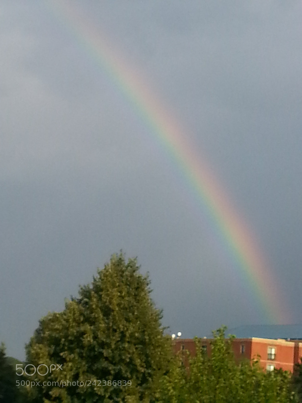 Samsung Galaxy S3 sample photo. Untitled photography