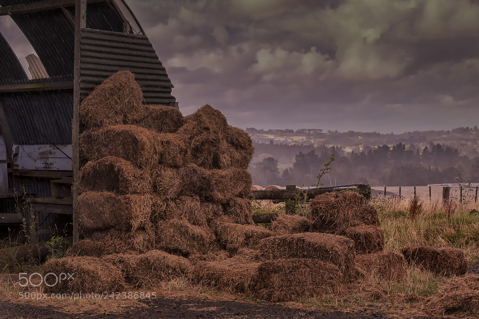 Nikon D700 sample photo. Vanishing rural scenery , hobsonville photography