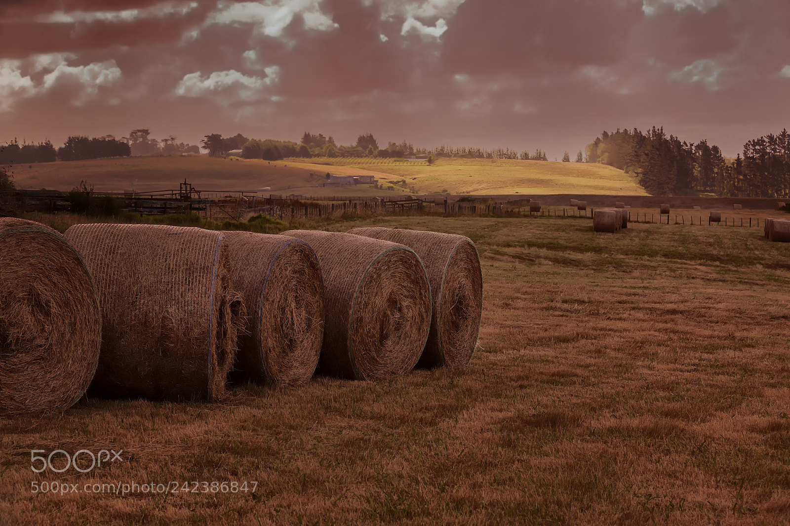 Nikon D700 sample photo. Vanishing rural scenery , hobsonville photography