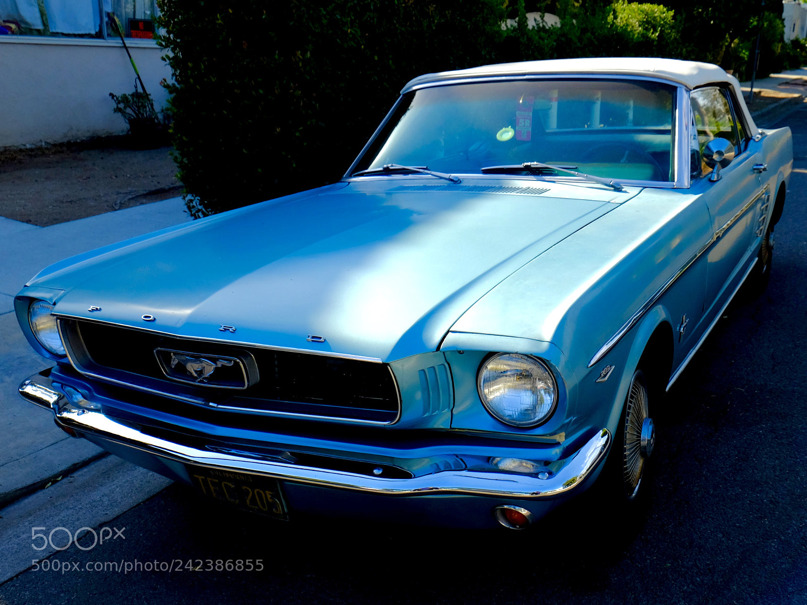 Fujifilm X-E2S sample photo. Neighborhood mustang photography