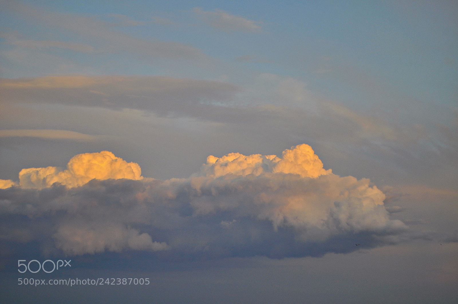 Nikon D5000 sample photo. () photography