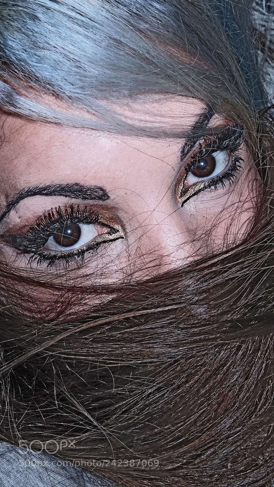 Sony DSC-HX60 sample photo. I see you. photography