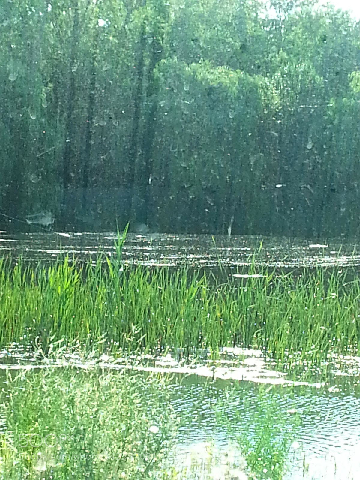 Samsung Galaxy S3 sample photo. Untitled photography