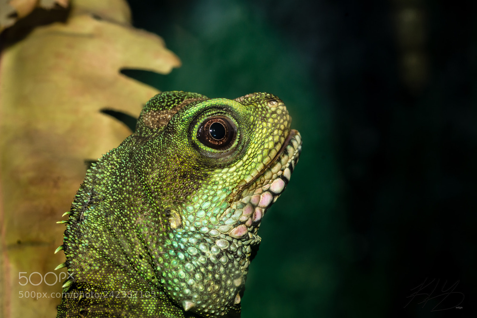 Nikon D7100 sample photo. 15 minutes photography