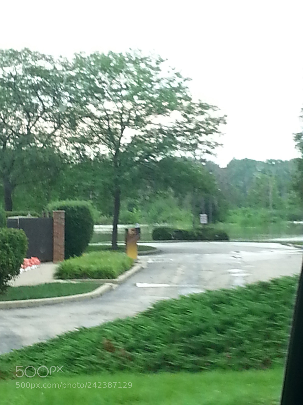 Samsung Galaxy S3 sample photo. Untitled photography