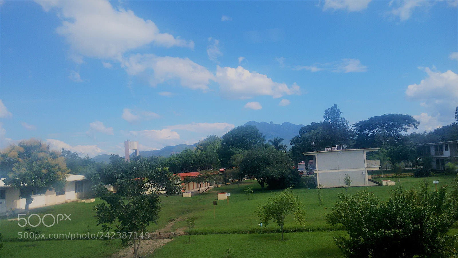 Motorola Moto G (2nd Gen) sample photo. School and nature photography