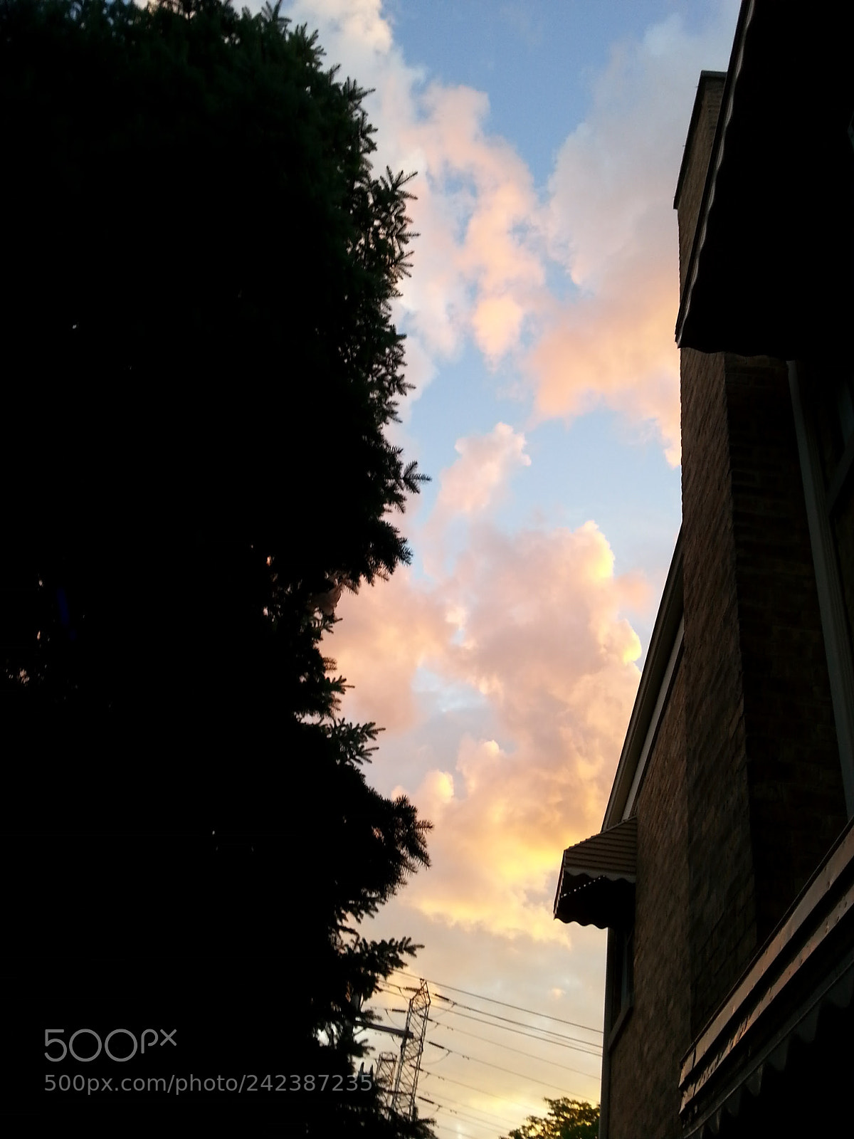 Samsung Galaxy S3 sample photo. Untitled photography