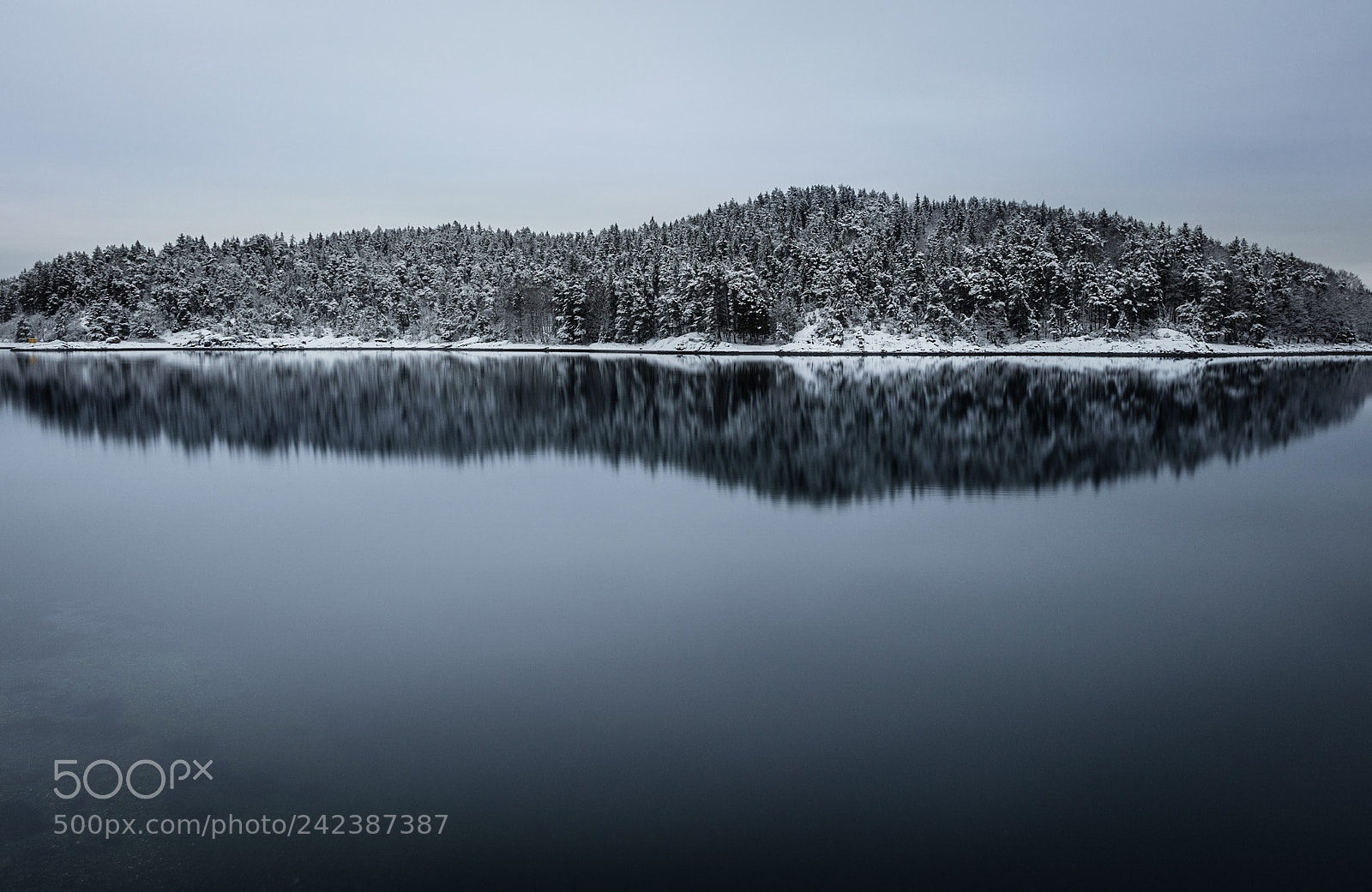 Canon EOS 5DS R sample photo. Untitled photography