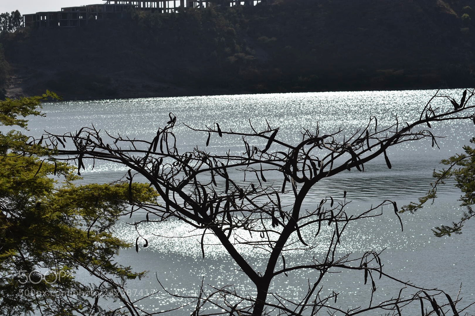 Nikon D7200 sample photo. One of the lakes photography