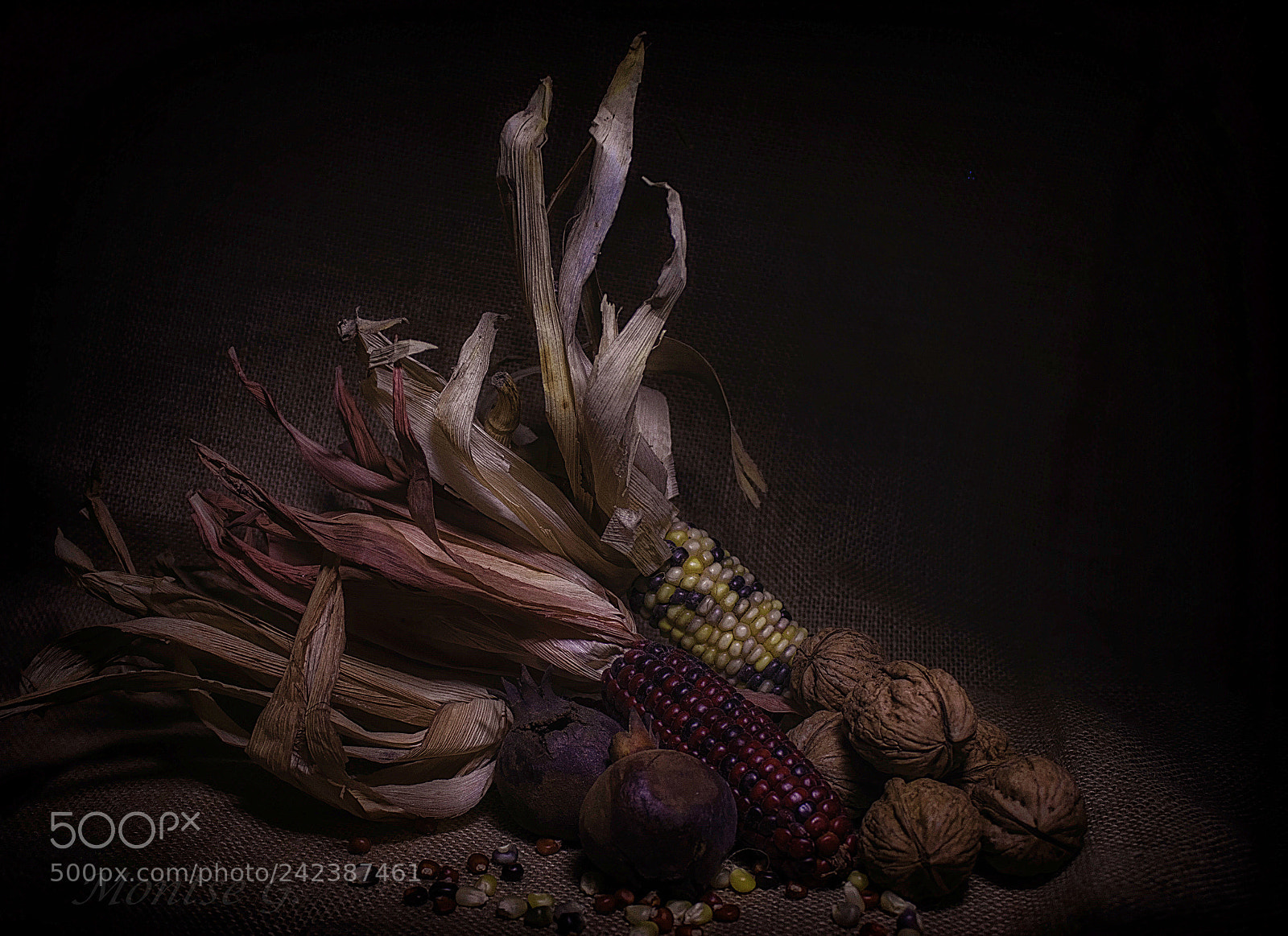 Canon EOS 77D (EOS 9000D / EOS 770D) sample photo. Img photography