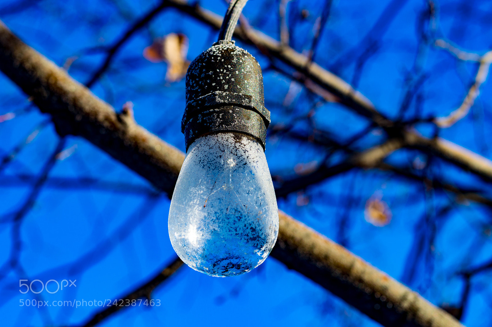 Nikon D3200 sample photo. Frozen light bulb photography