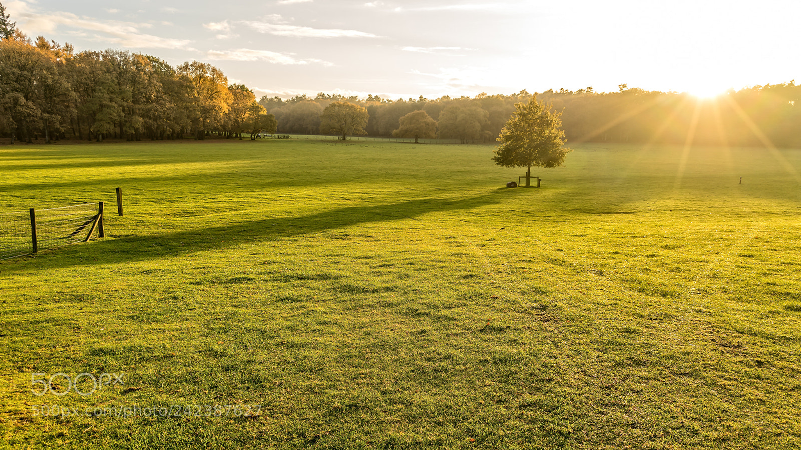 Sony a7 sample photo. Late november sunset photography