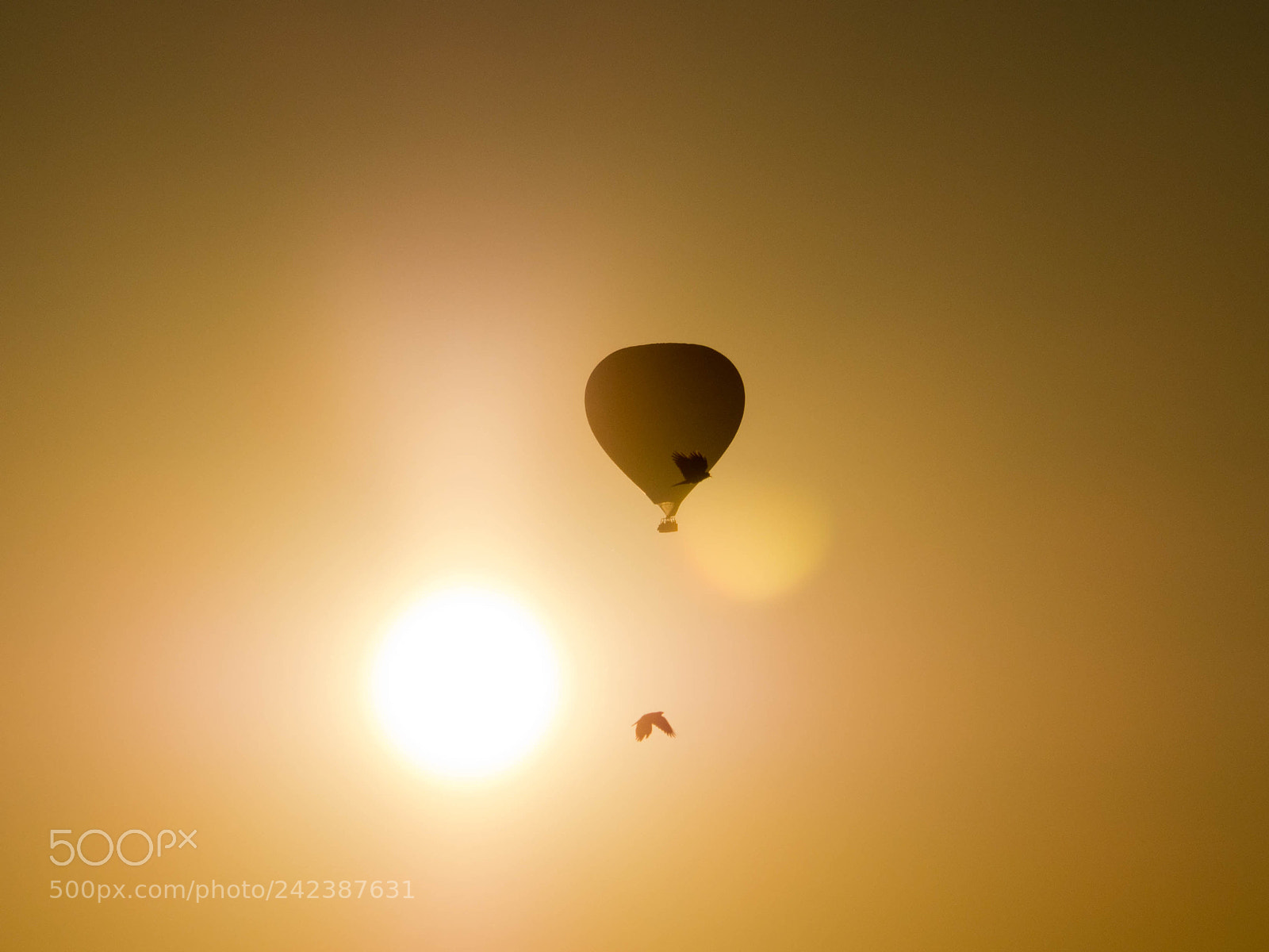 Olympus OM-D E-M10 II sample photo. Hot balloon photography