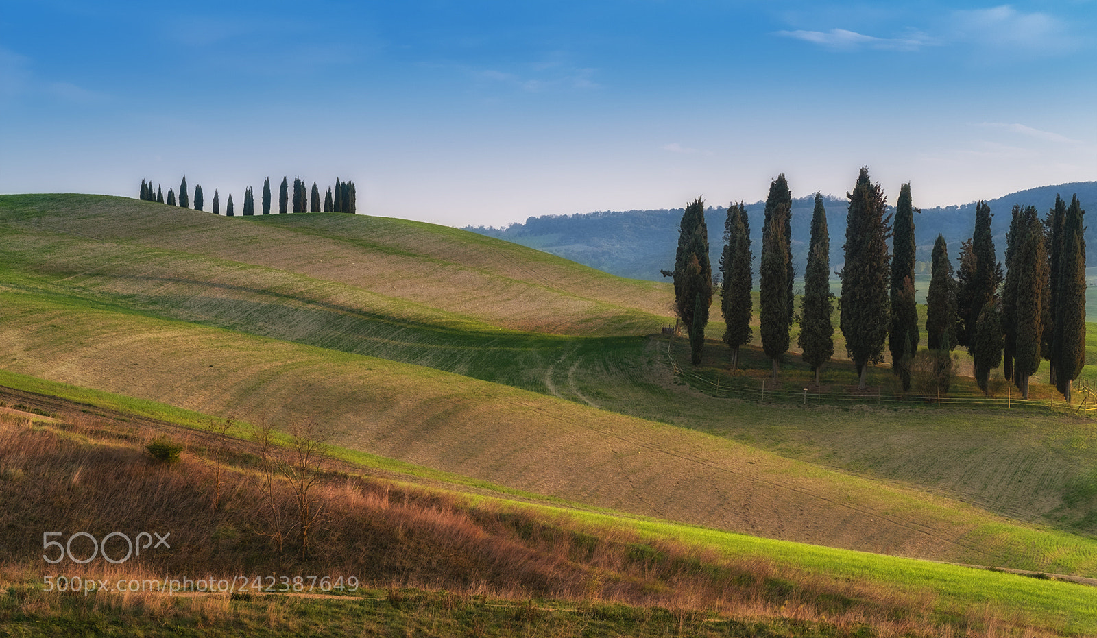 Fujifilm X-T2 sample photo. Somewhere in tuscany photography