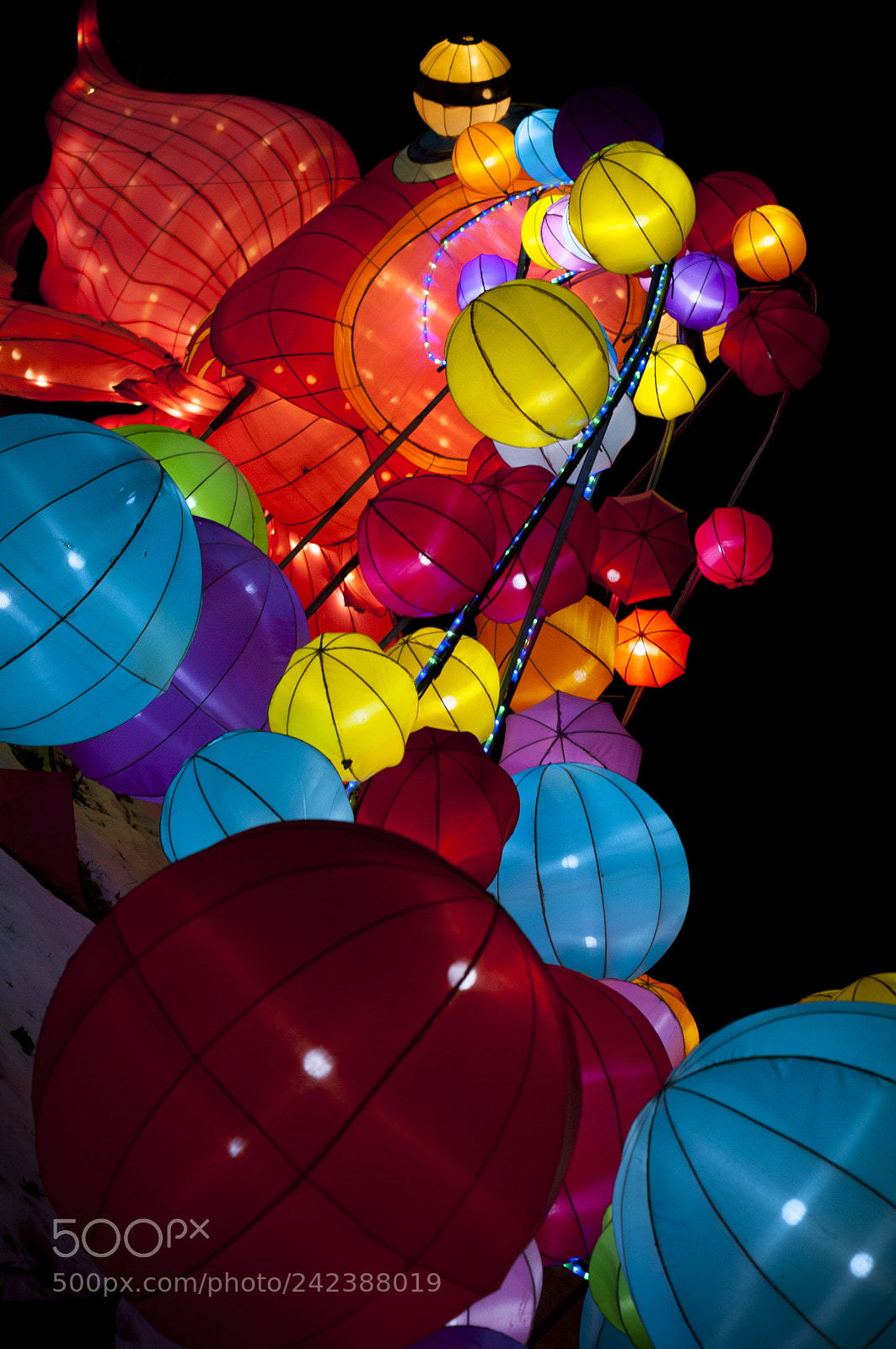 Pentax K-7 sample photo. Blargh photography