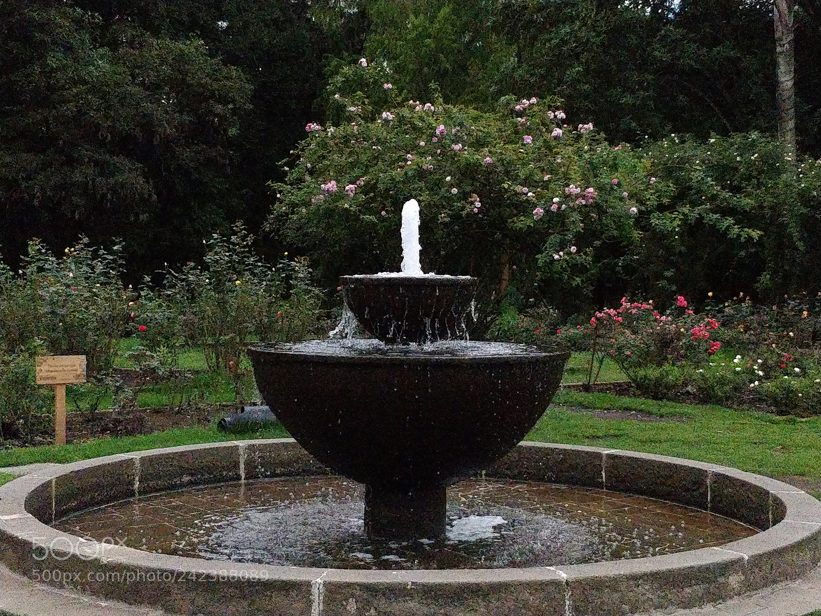 OnePlus 5 sample photo. Fountain photography