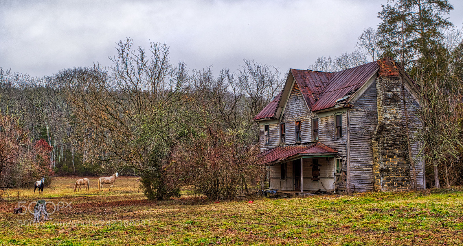 Nikon D5500 sample photo. Rogers road house photography