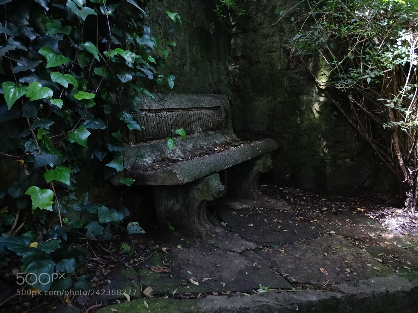 OnePlus 5 sample photo. Lonely chair photography