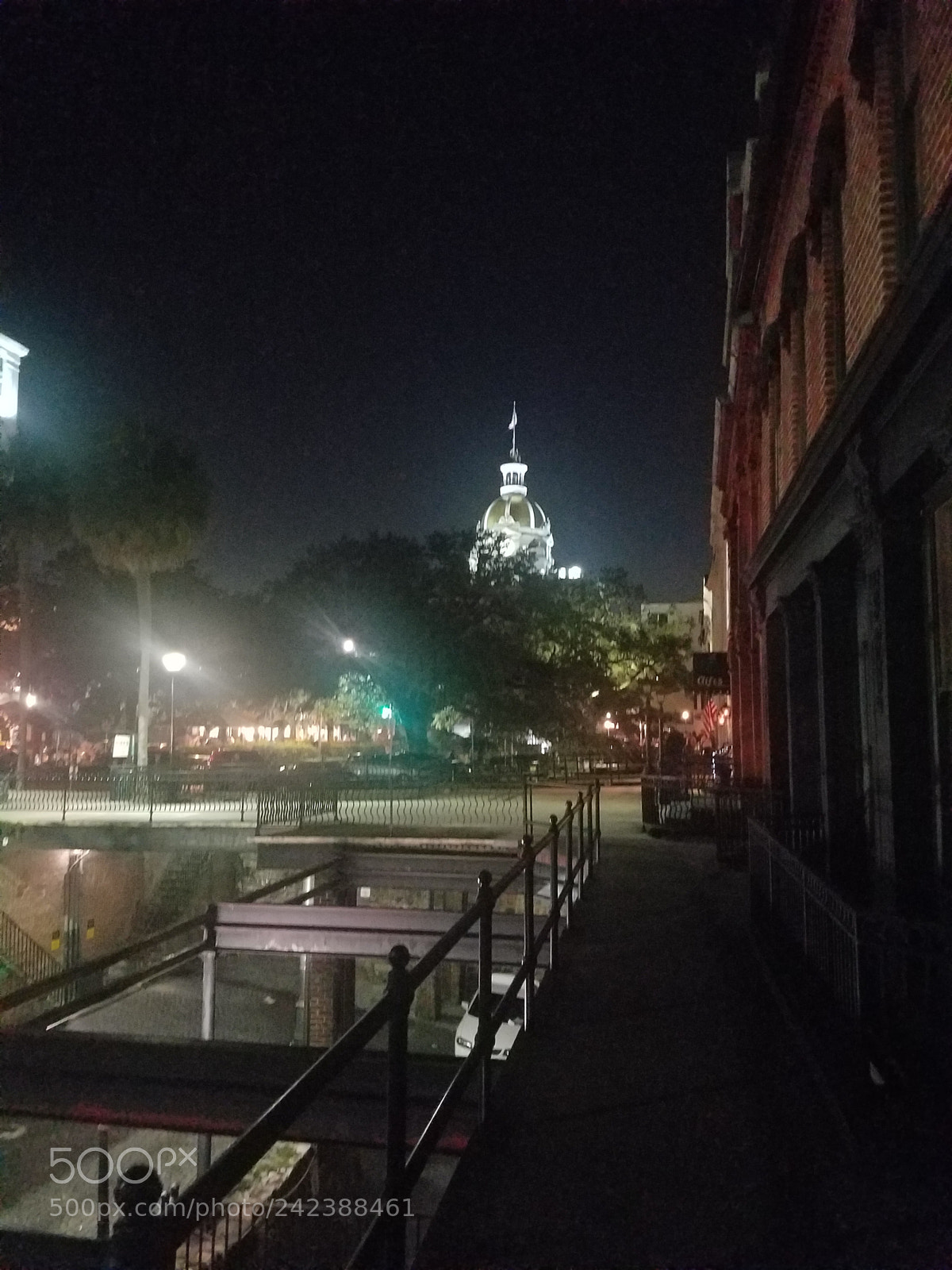 Samsung Galaxy S7 sample photo. Savannah photography