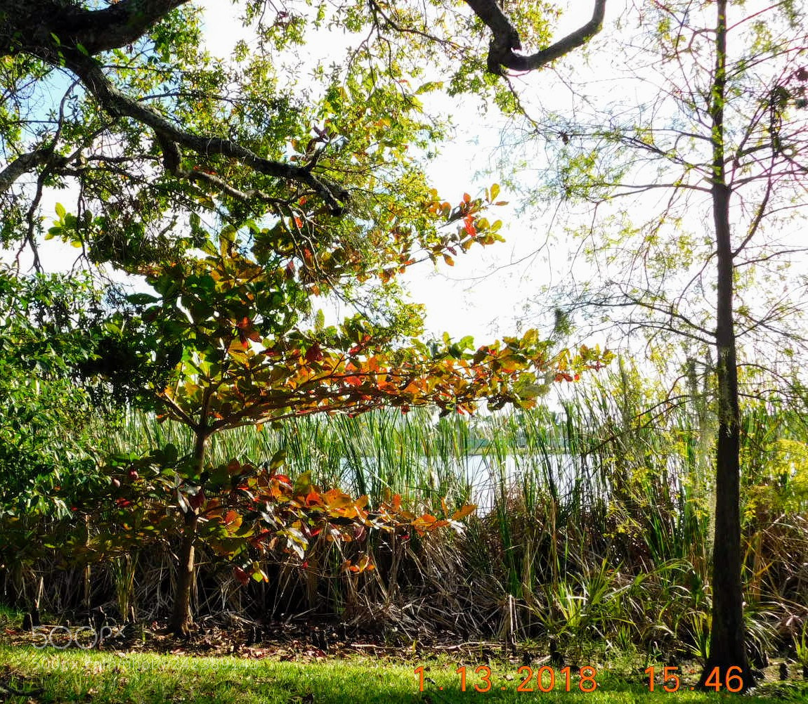 Nikon Coolpix B500 sample photo. Untitled photography