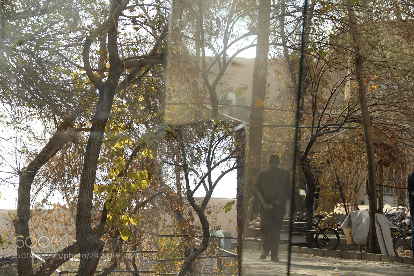 Canon EOS 60D sample photo. Untitled photography