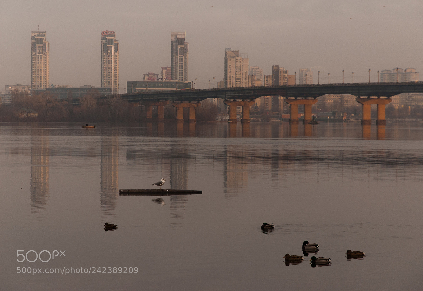 Nikon D70 sample photo. Reflections photography