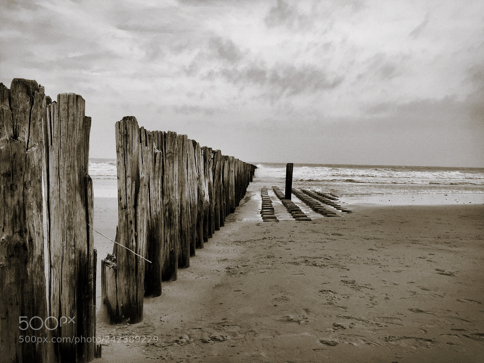 Apple iPhone 6 sample photo. Northsea photography