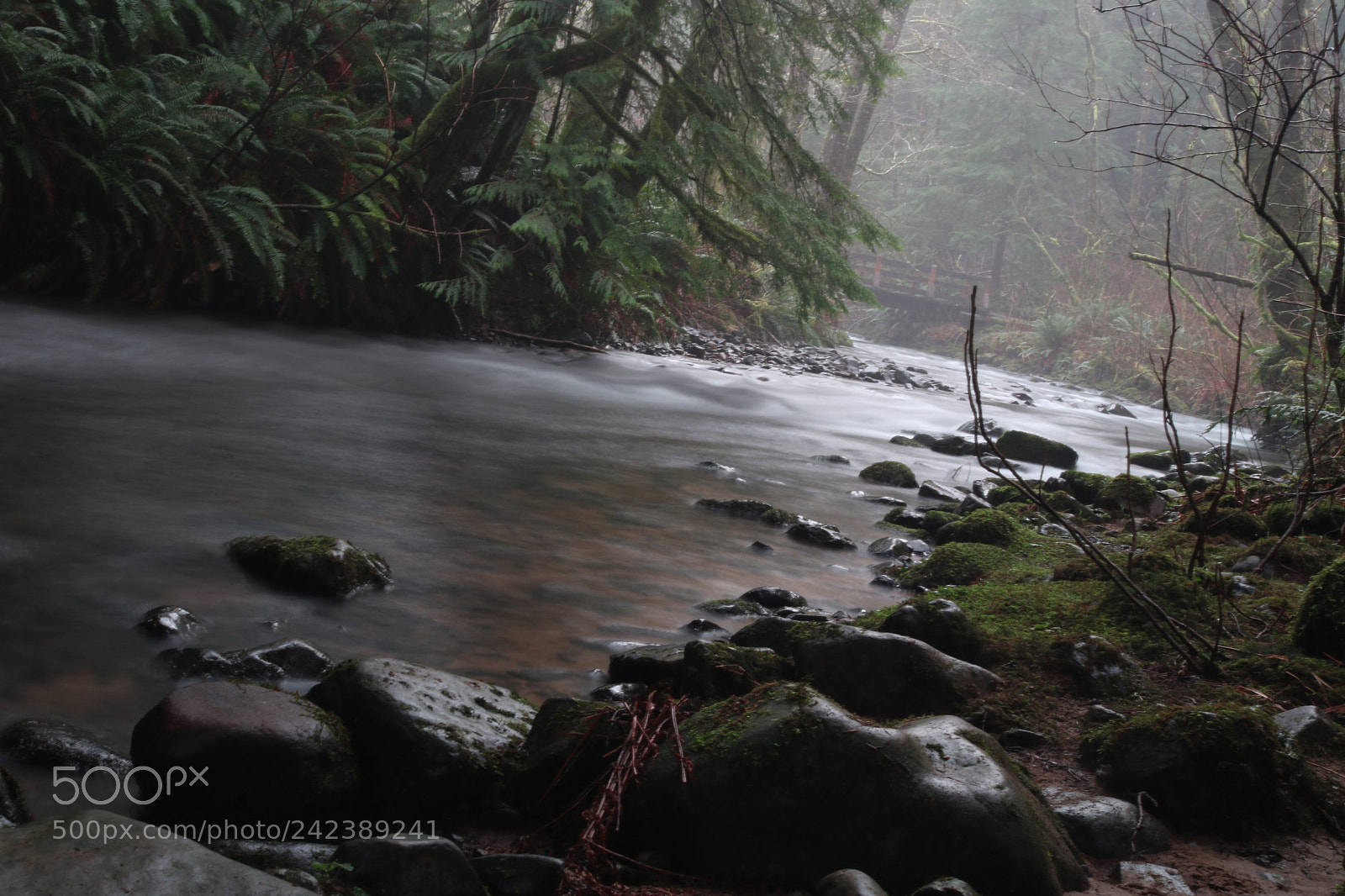 Canon EOS 750D (EOS Rebel T6i / EOS Kiss X8i) sample photo. River photography