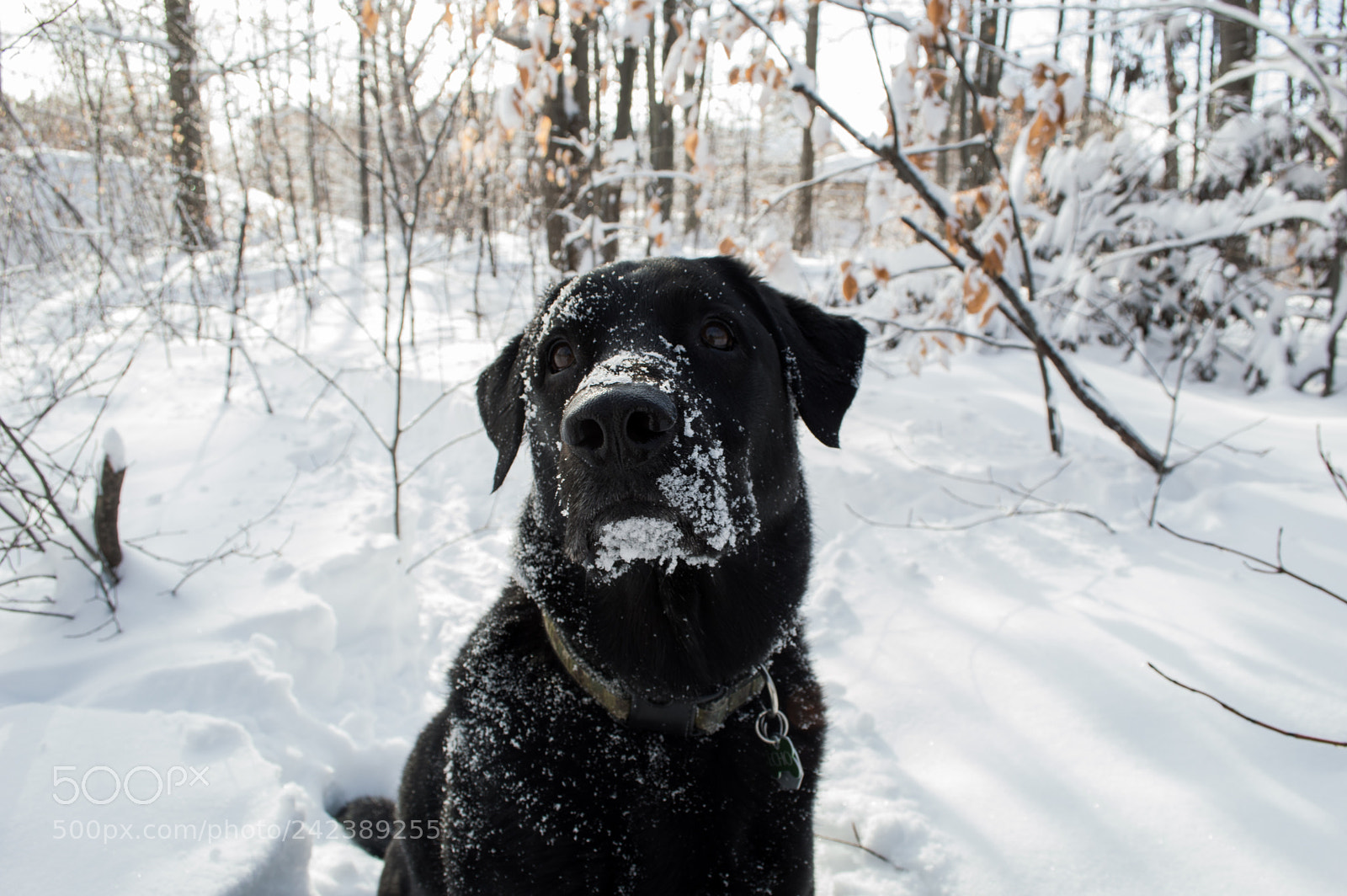 Nikon D3200 sample photo. Echo photography