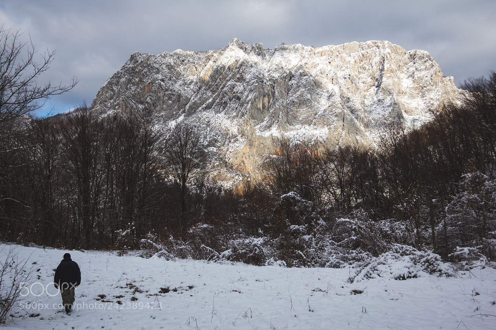 Canon EOS 60D sample photo. Afternoon walk photography