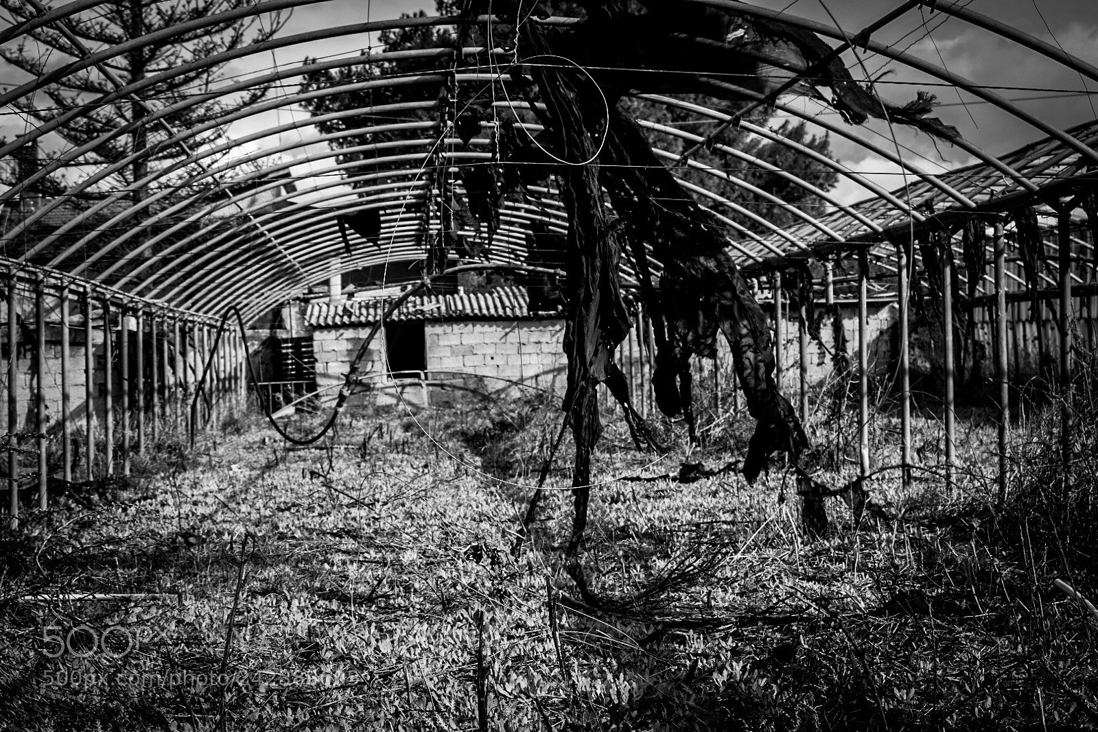 Nikon D5600 sample photo. Untitled photography