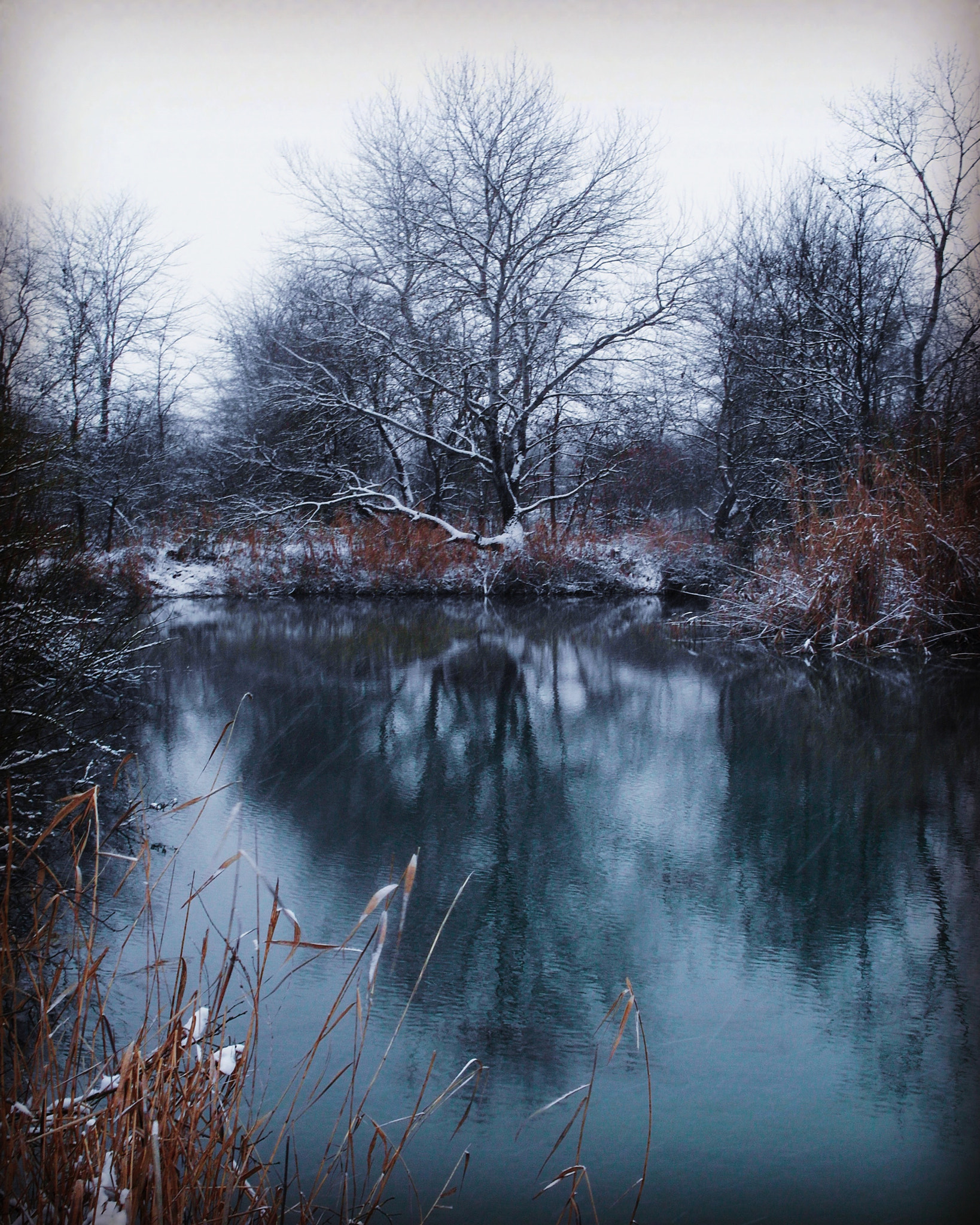 Samsung EX1 sample photo. Argun photography