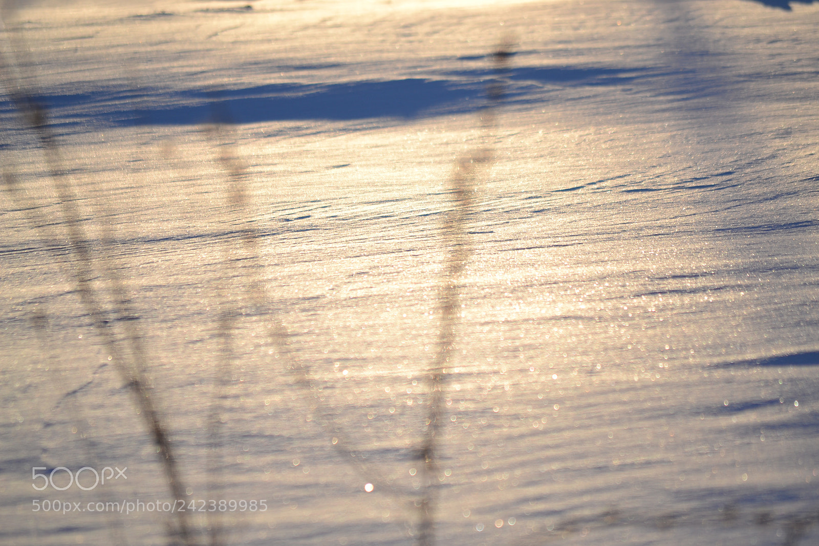 Nikon D3100 sample photo. Ice and snow photography
