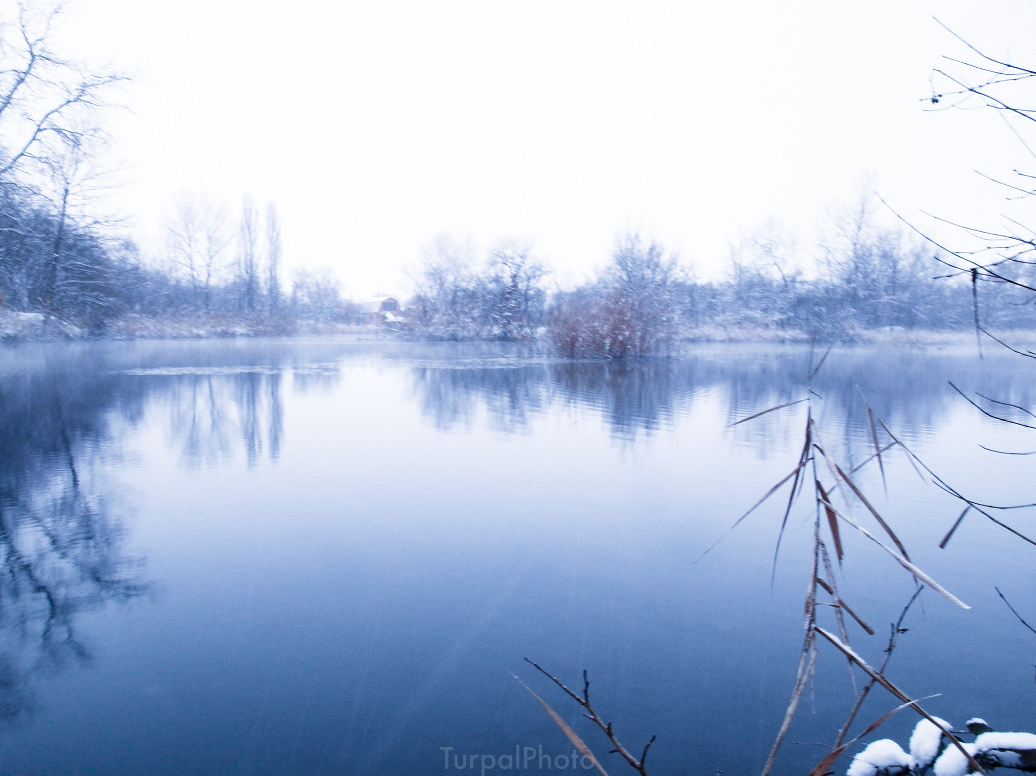 Samsung EX1 sample photo. Argun photography